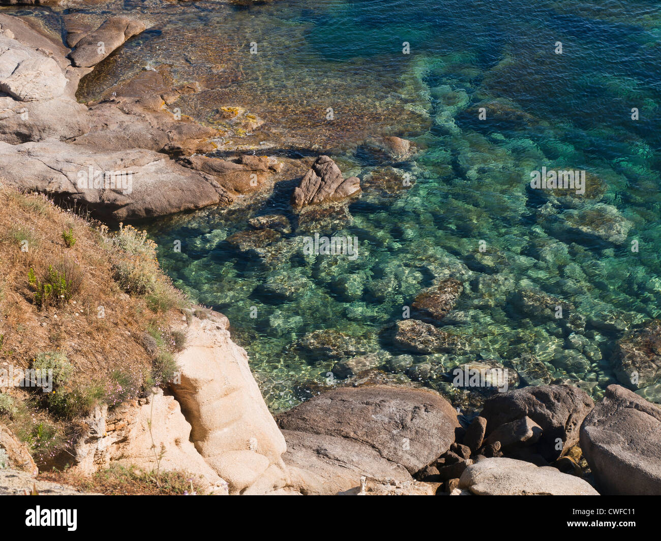 Da una passeggiata costiera vicino a Calvi in Corsica con vedute di arbusti,scogliere e il blu mare Mediterraneo Foto Stock