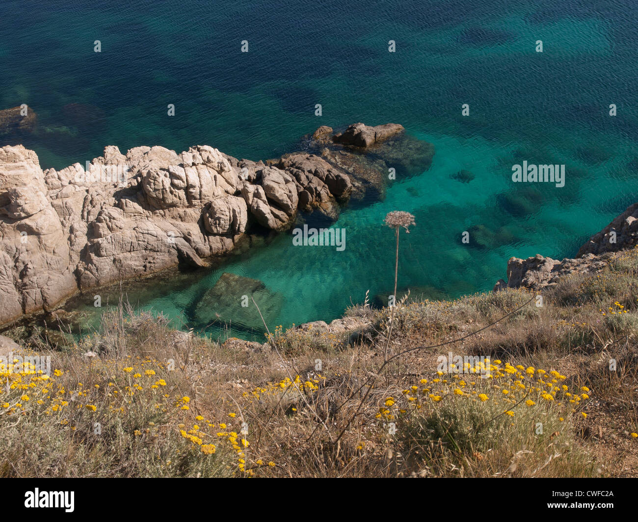 Da una passeggiata costiera vicino a Calvi in Corsica con vedute di arbusti e cespugli blu mare Mediterraneo Foto Stock
