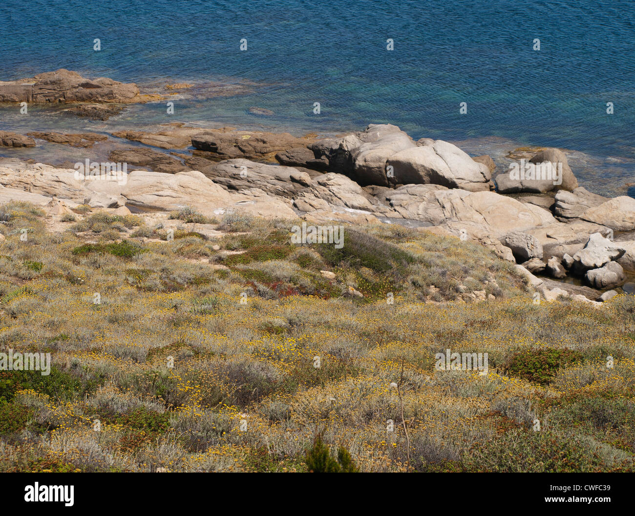 Azzurro mare mediterraneo insieme contro le rocce e con una leggera pendenza con fiori e cespugli a secco Foto Stock