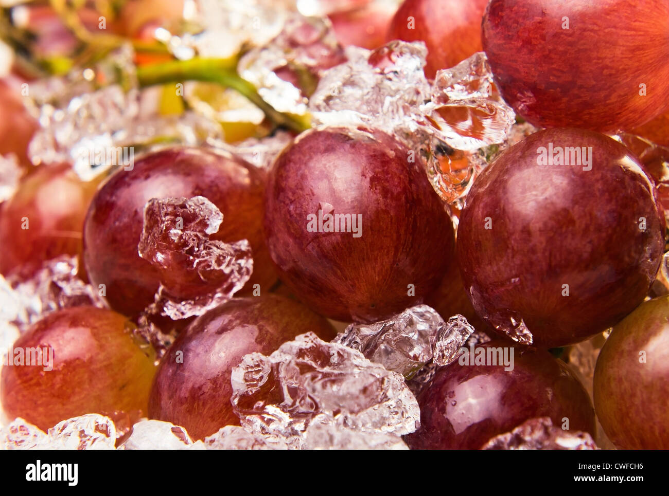 Mature uve rosse su una lastra di ghiaccio Foto Stock
