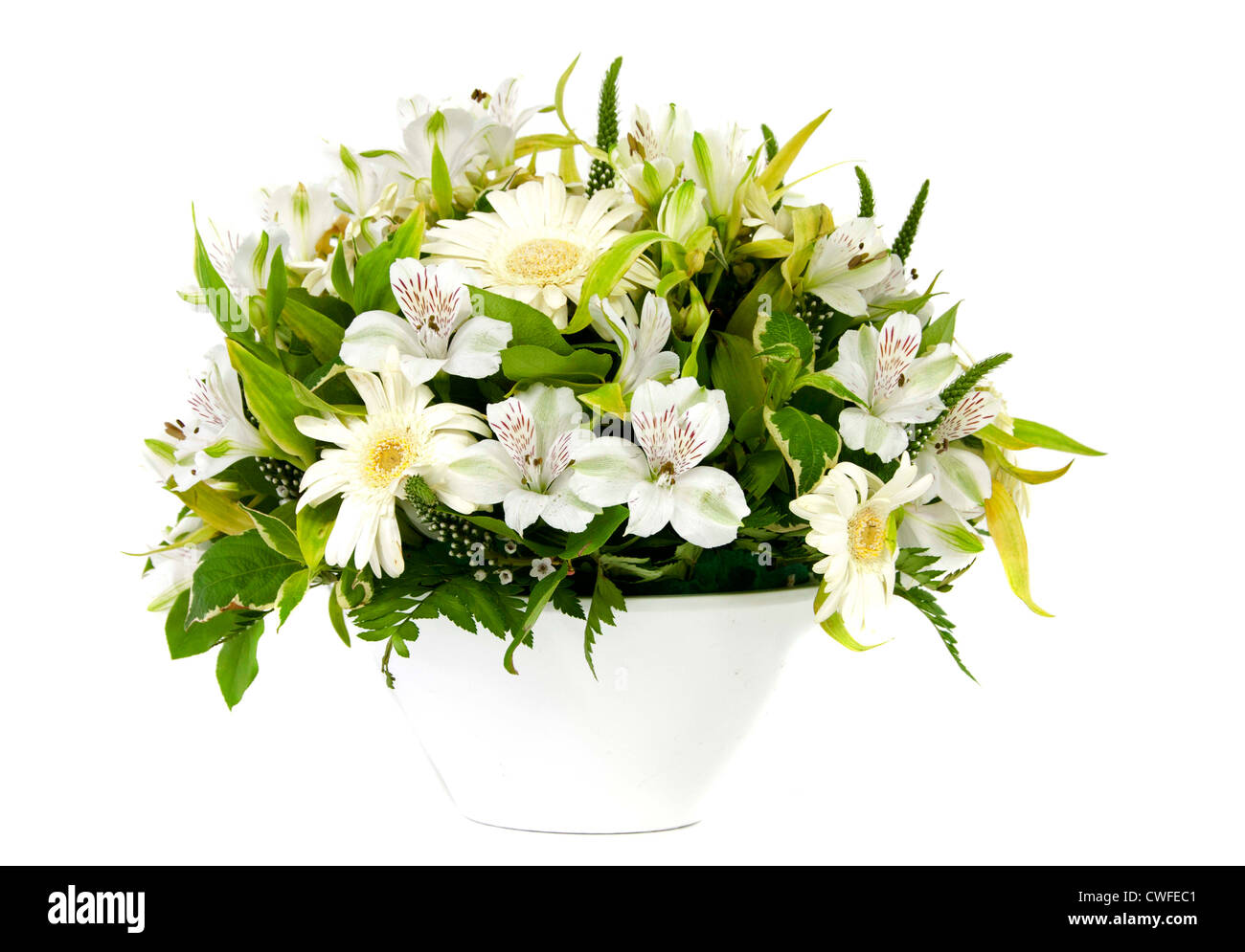 Vaso bianco e fiori su sfondo chiaro Foto Stock