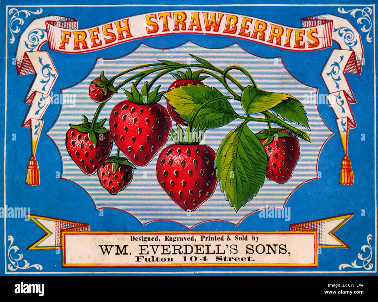 Fragole fresche, pubblicità etichetta, circa 1868 Foto Stock