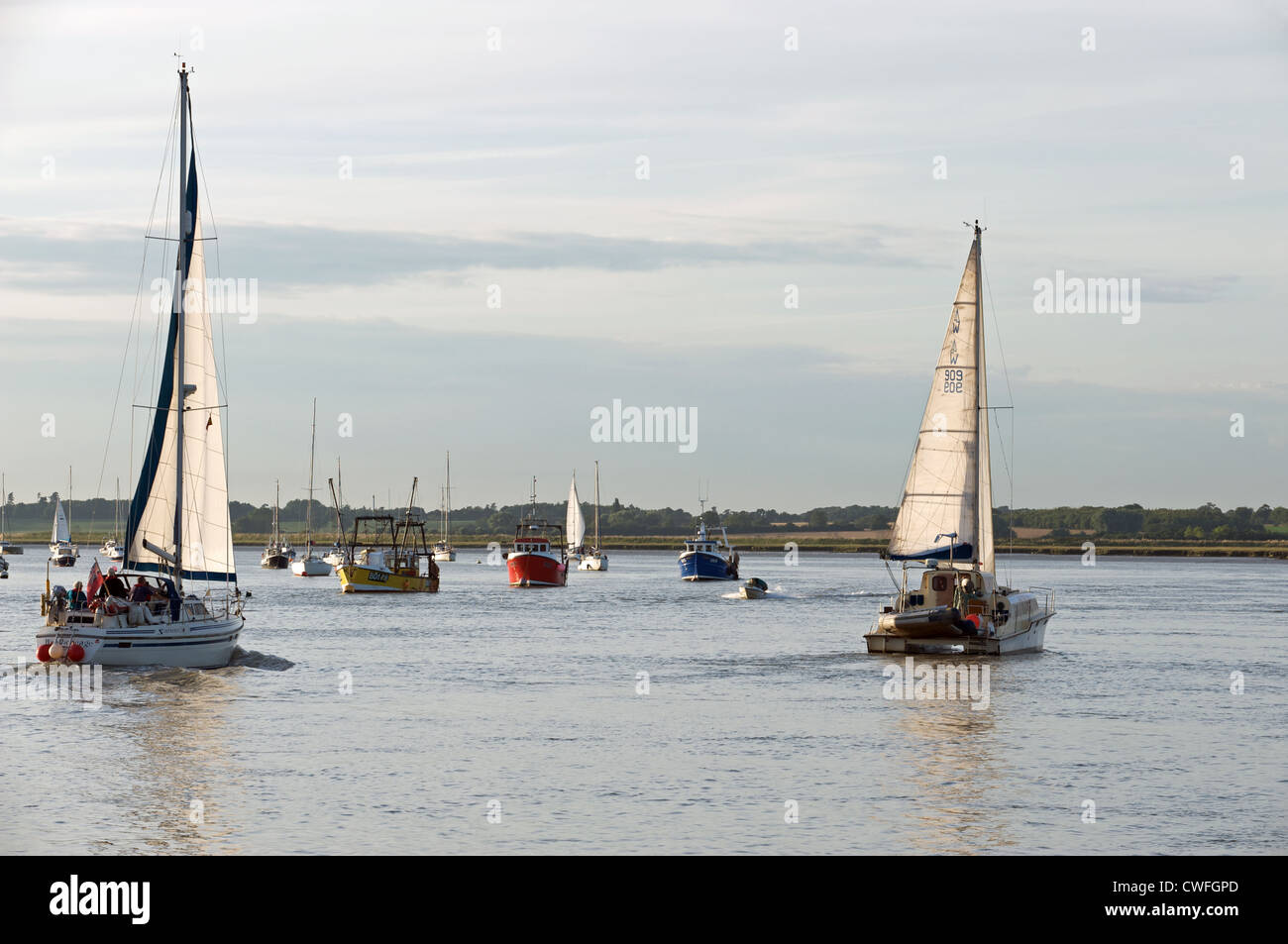 Yachts fiume Deben Bawdsey Suffolk REGNO UNITO Foto Stock