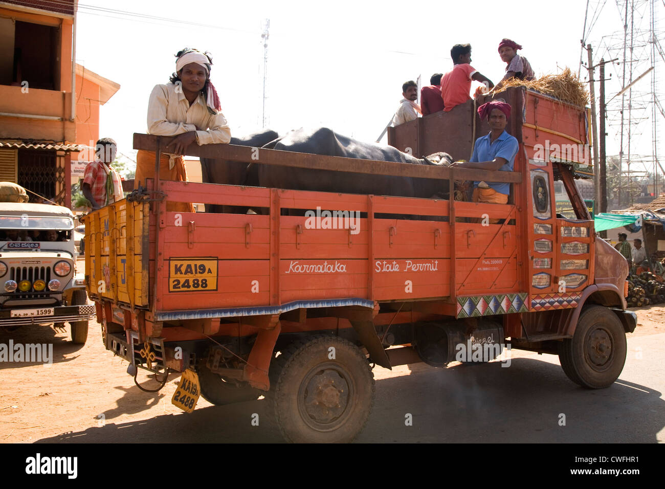 Gli uomini offrono bufale di Kambala racing nel Dakshina Kannada distretto di Karnataka, India. Foto Stock