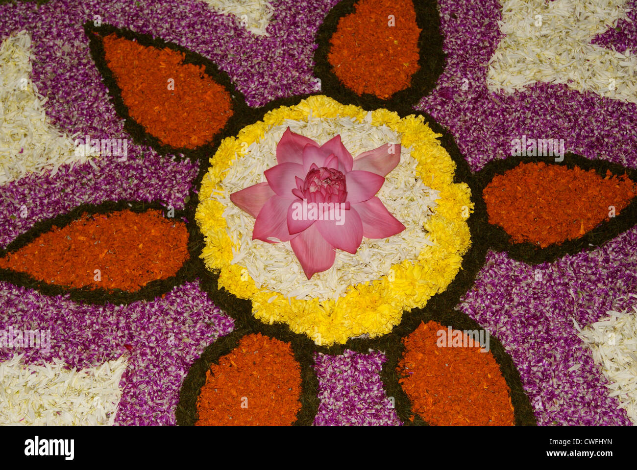 Athapookalam o Onam Pookalam è la tradizione di decorare Pookalams con un sacco di fiori come parte di Onam festival in Kerala, India Foto Stock