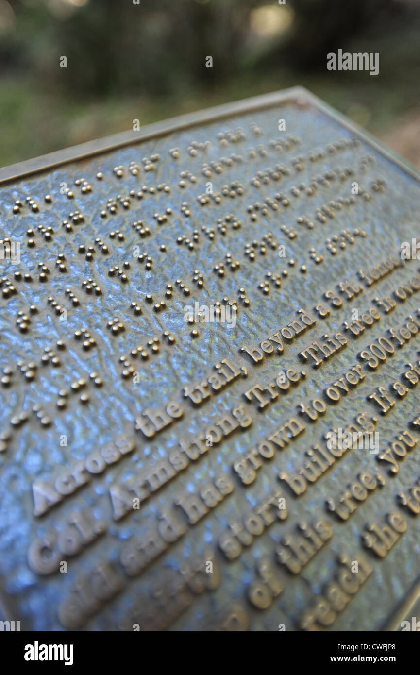 USA linguaggio Braille bilingue Inglese e fianco a fianco su una placca in Armstrong Redwoods Riserva Naturale Statale Foto Stock