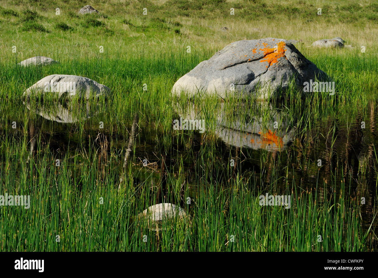 Massi erratici e bollitore lake, il Parco Nazionale di Yellowstone, Wyoming USA Foto Stock