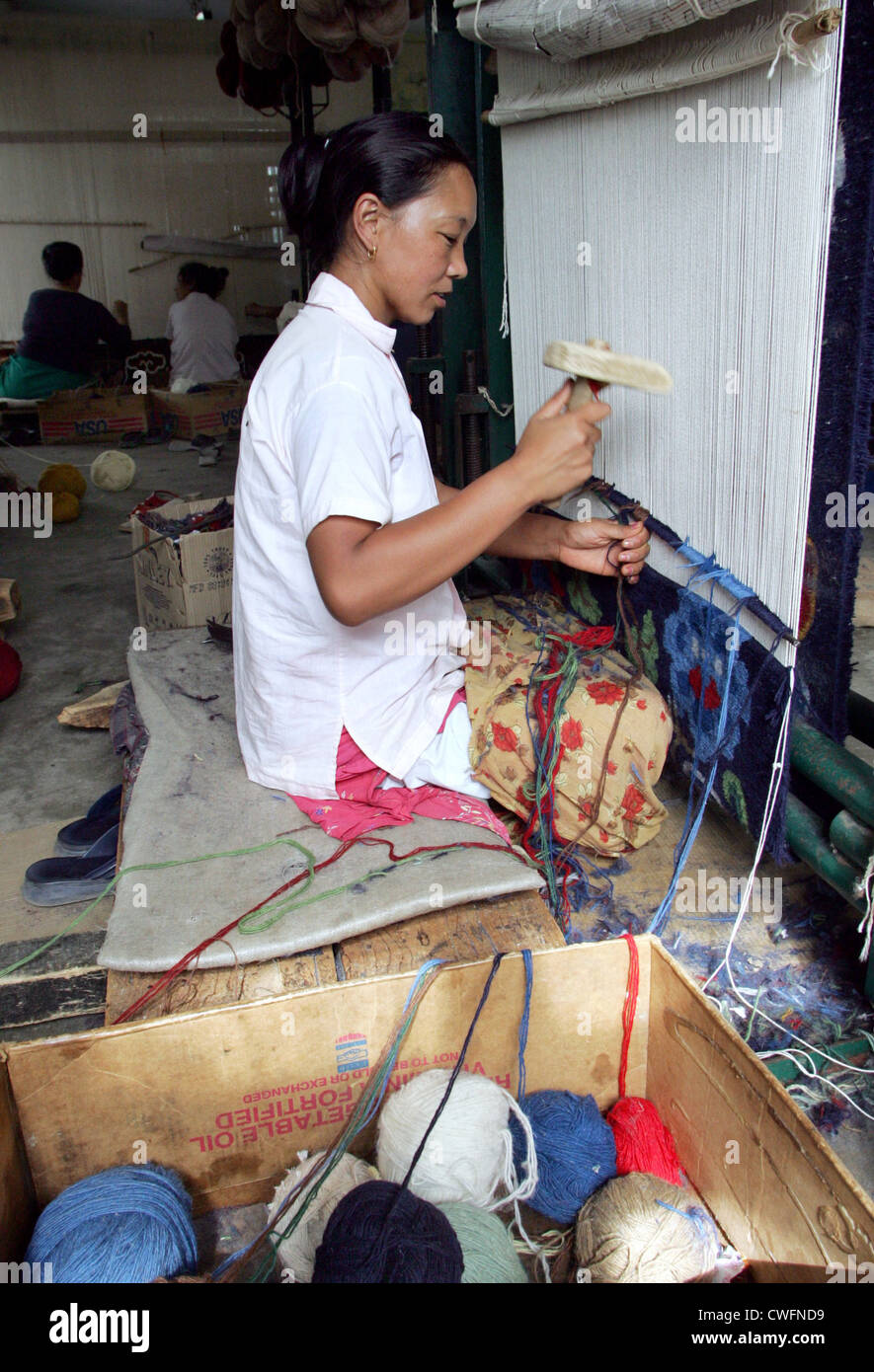 Esilio tibetani in India Foto Stock