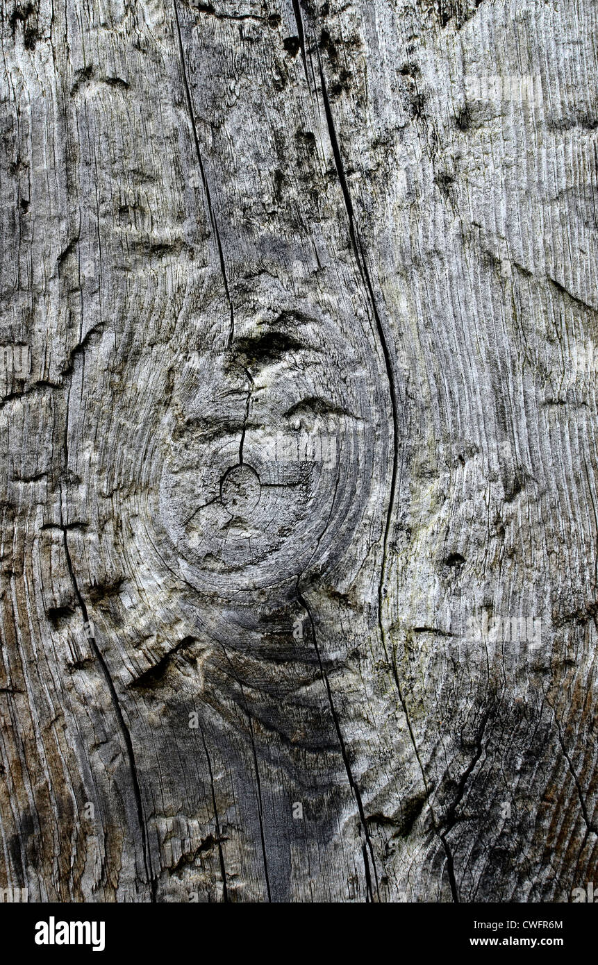 Chiudere i dettagli della superficie di legno stagionato traversina ferroviaria utilizzata come materiale di scherma. Foto Stock