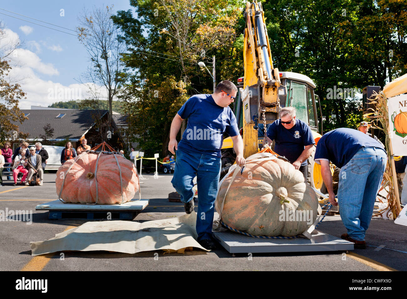 Tempo di pesatura al Festival di zucca, Cooperstown, New York Foto Stock