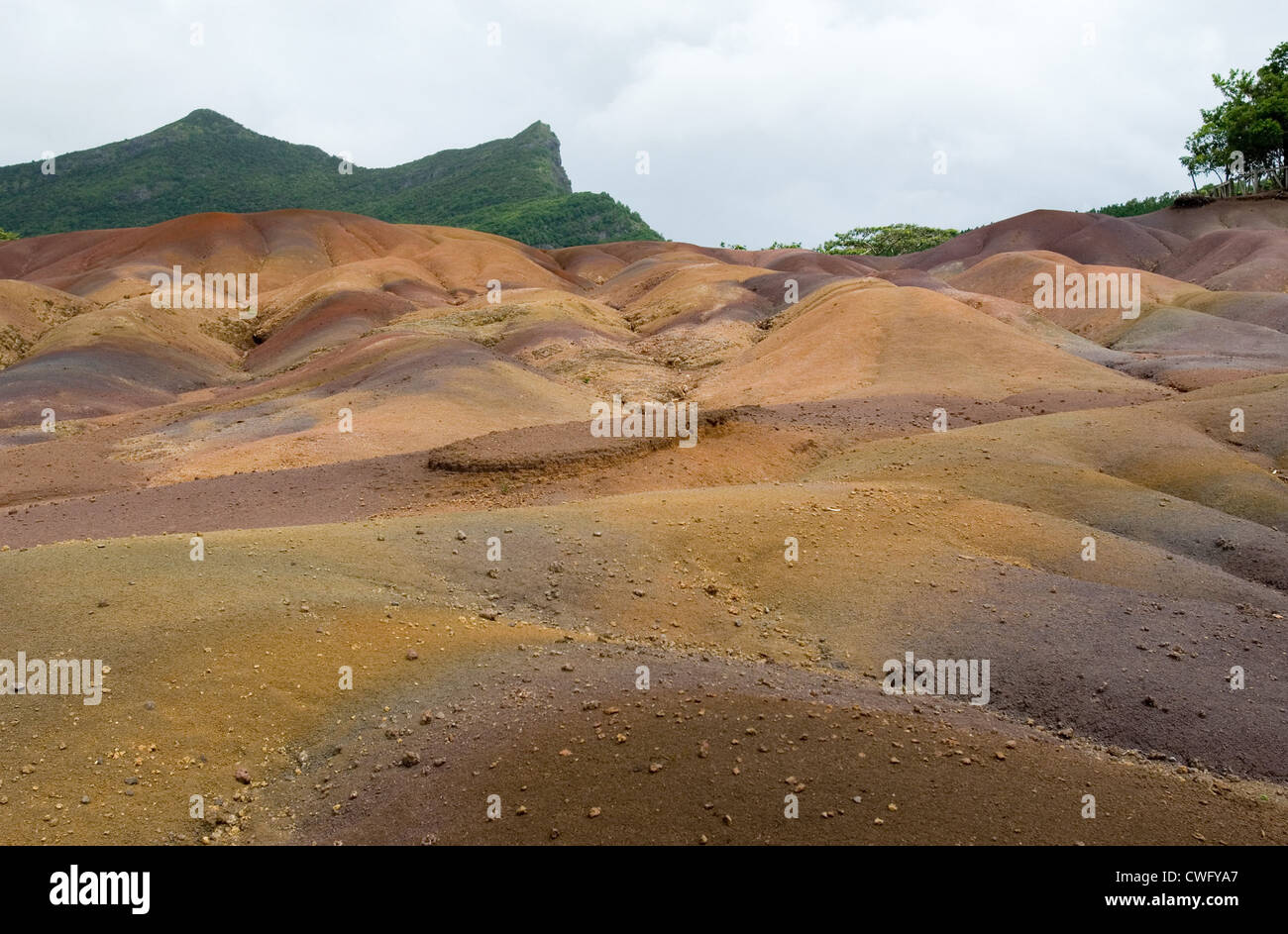 Il parco naturale di Terres de Couleurs (Maurizio) Foto Stock