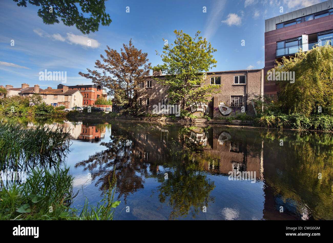 Gli alberi ed edifici sono riflesse nel Grand Canal, Dublino, Irlanda nel periodo estivo Foto Stock