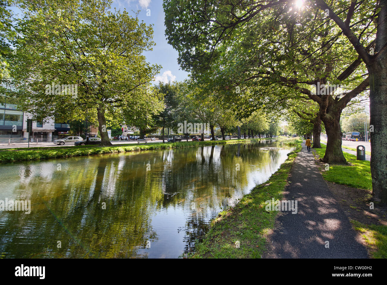 Verdeggianti alberi sono riflessi nell'acqua del Grand Canal, Dublino, Irlanda nel periodo estivo Foto Stock