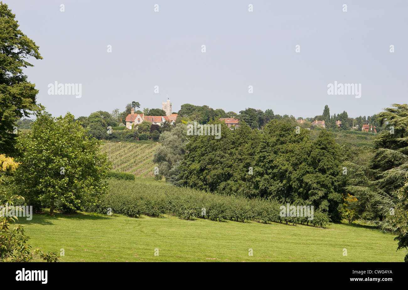 Villaggio Hernhill Kentish campagna Farmland Kent Foto Stock