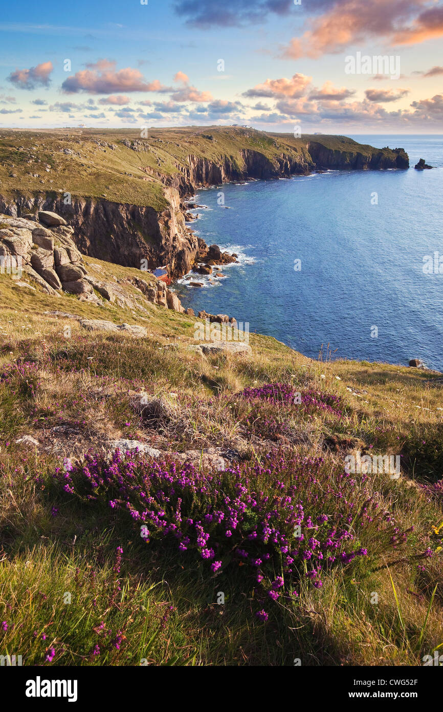 Lands End, West Cornwall, Regno Unito, South West Coast Path, Tramonto, Heather, colorato, luce della sera, e aspro paesaggio, scogliere, Inghilterra Foto Stock