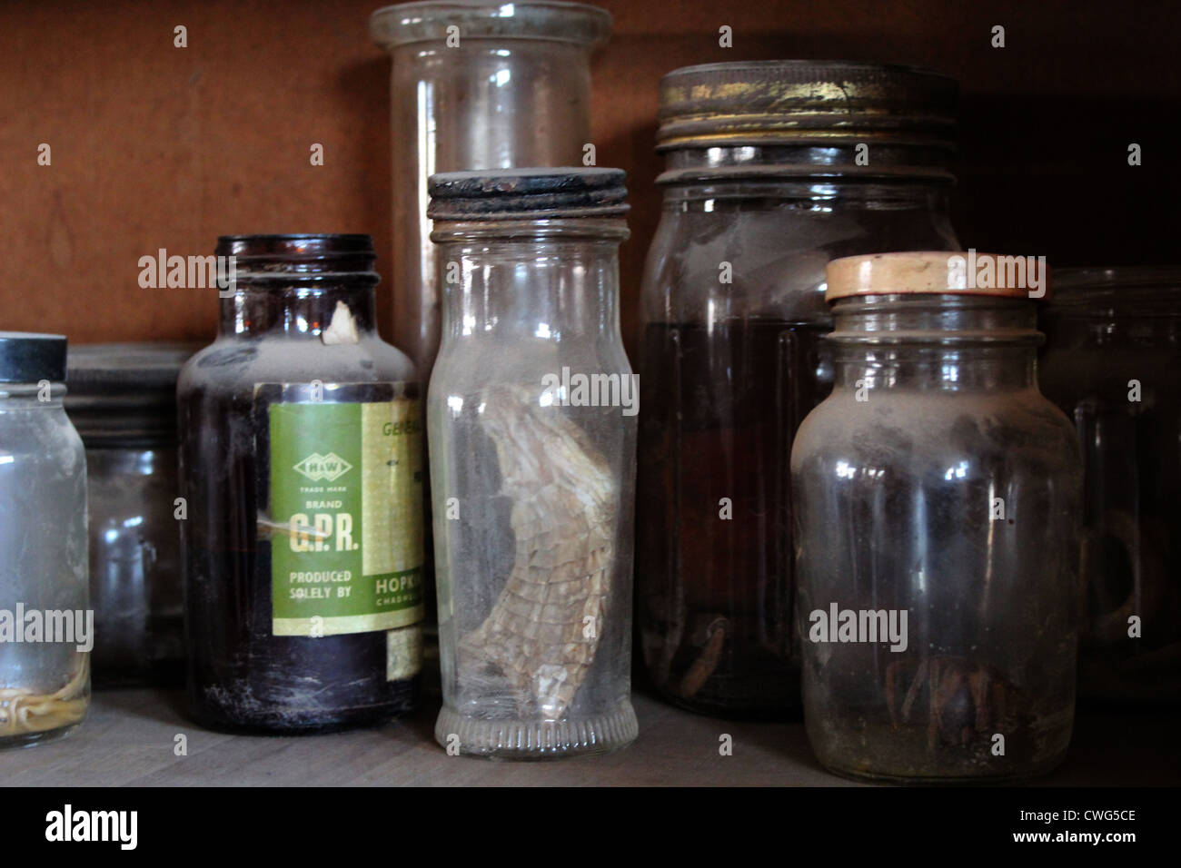 Laboratorio di scienze, campioni di Ndola, Zambia Foto Stock