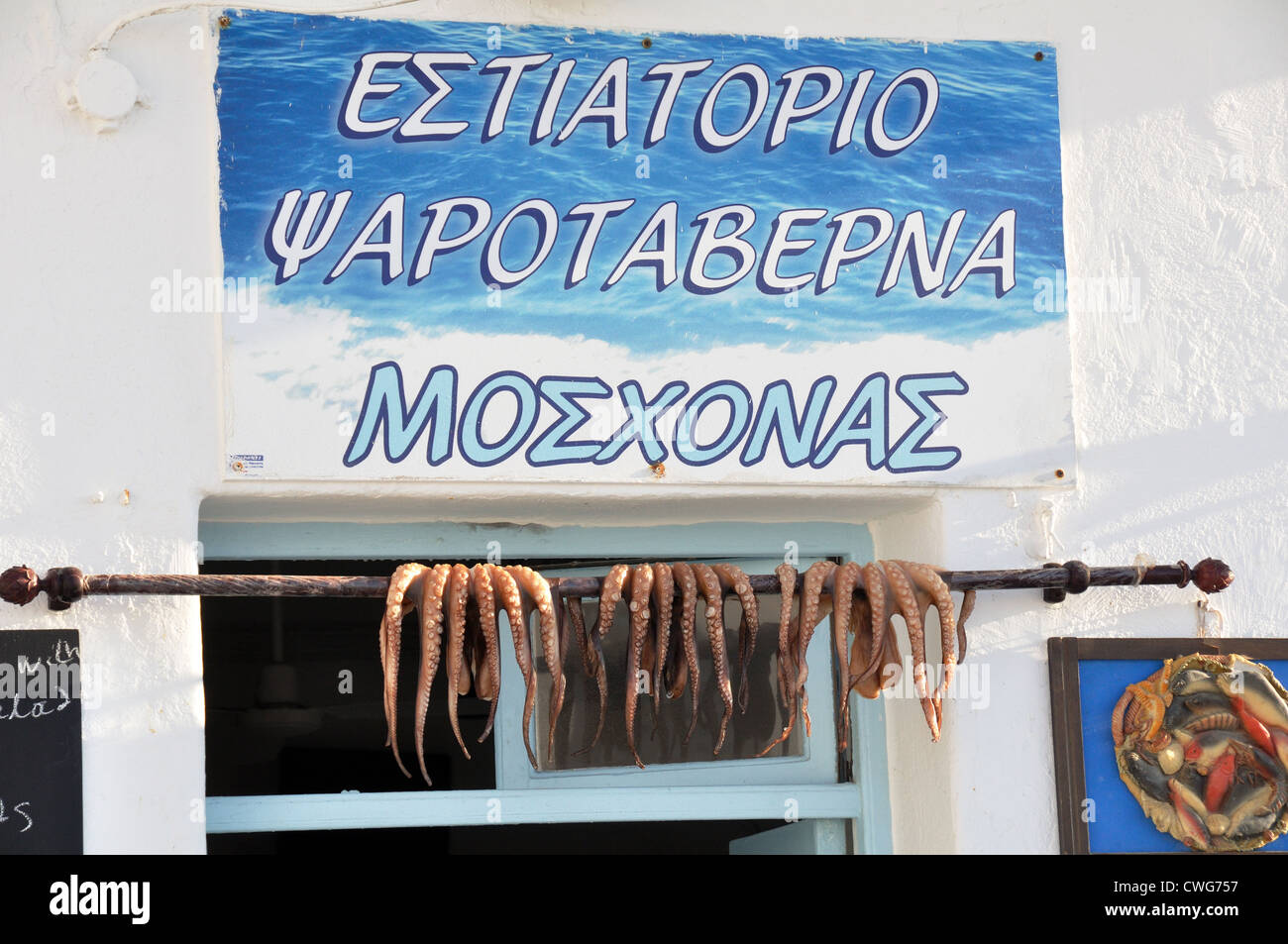 Display di polpo in una taverna di pesce, Paros, Grecia. Foto Stock