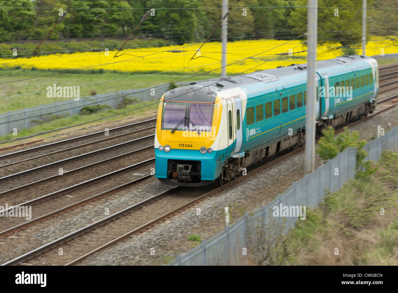 Classe 175 diesel-elettrico unità multiple treno azionato da Arriva Trains Wales andando verso nord sulla WCML, a nord di Warrington. Foto Stock