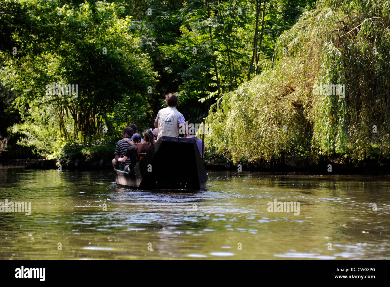 Les Hortillonnages,barque un cornet,Amiens,Somme,Picardie,Francia Foto Stock