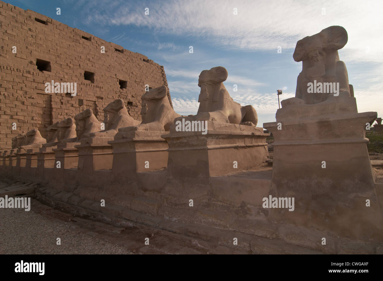 Statue egiziane la formazione di Karnak, un vasto mix di templi cariati, cappelle, tralicci e di altri edifici. Foto Stock