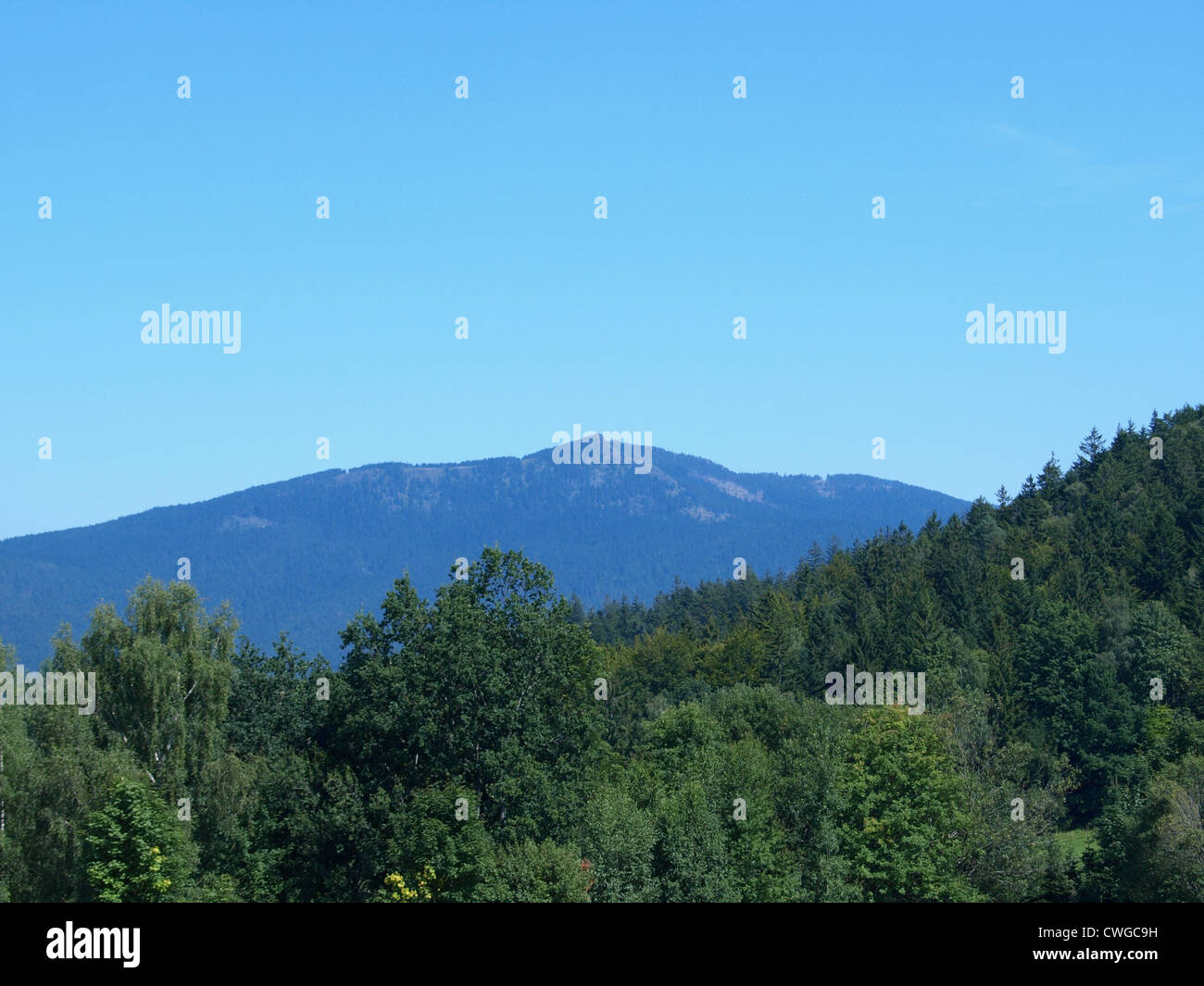 Paesaggio, cielo blu, mountain Osser, Foresta Bavarese / Landschaft, blauer Himmel, Berg Osser, Bayerischer Wald Foto Stock