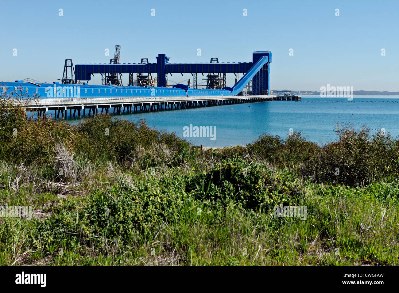 CBH Kwinana terminale di grano strumento di esportazione, Australia Foto Stock