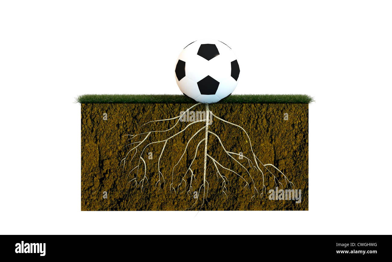 Pallone da calcio con grosse radici su un campo di calcio isolati su sfondo bianco Foto Stock