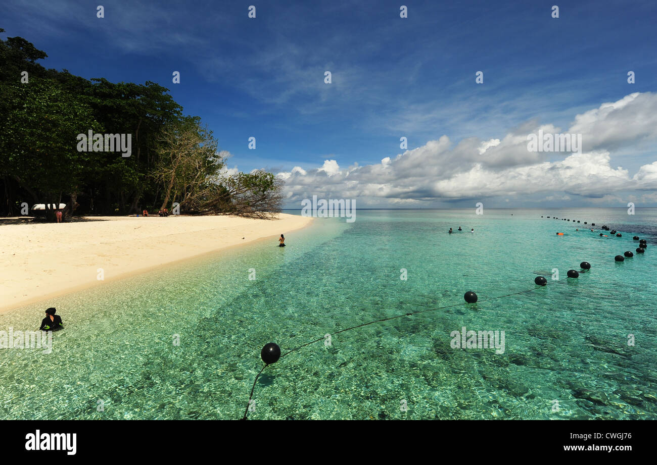 La Malesia, Borneo, Semporna arcipelago, Sipadan, idilliaca spiaggia con sabbia bianca e trasparente acqua turchese Foto Stock