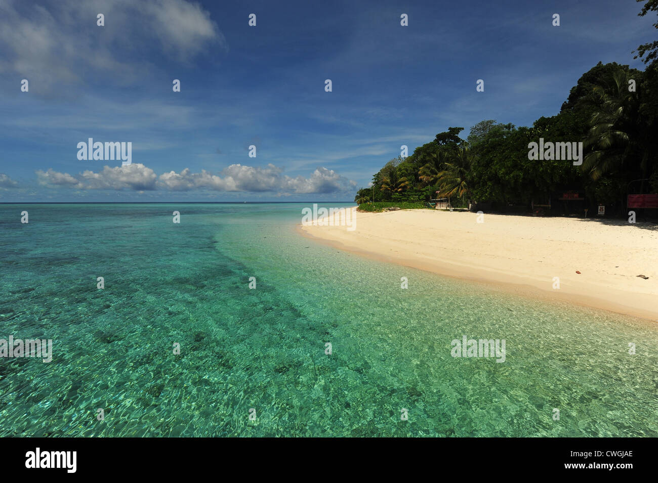 La Malesia, Borneo, Semporna arcipelago, Sipadan, idilliaca spiaggia con sabbia bianca e trasparente acqua turchese Foto Stock