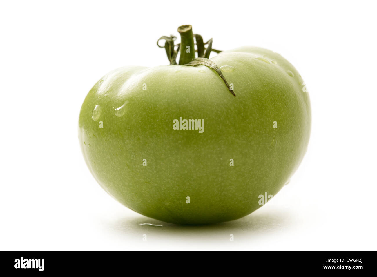 Pomodoro verde su sfondo bianco Foto Stock