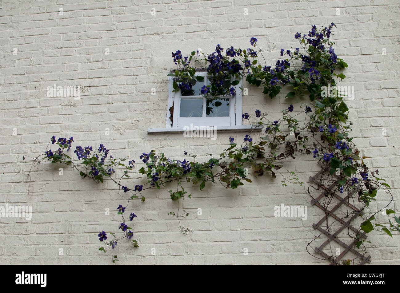 Finestra di Lyme Regis Foto Stock