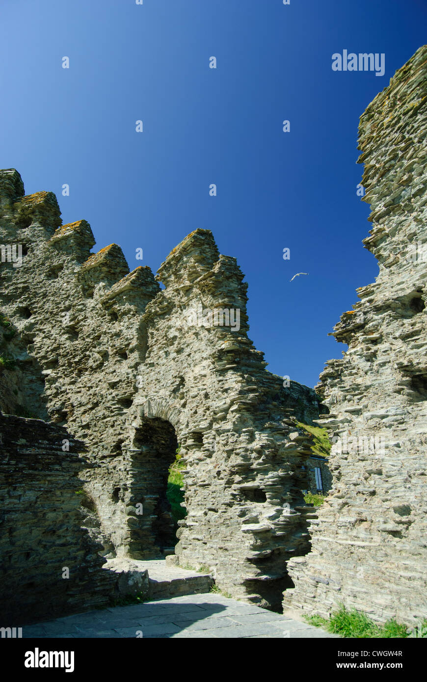 Resti di Re Arthurs castello di Tintagel, Cornwall, Inghilterra Foto Stock