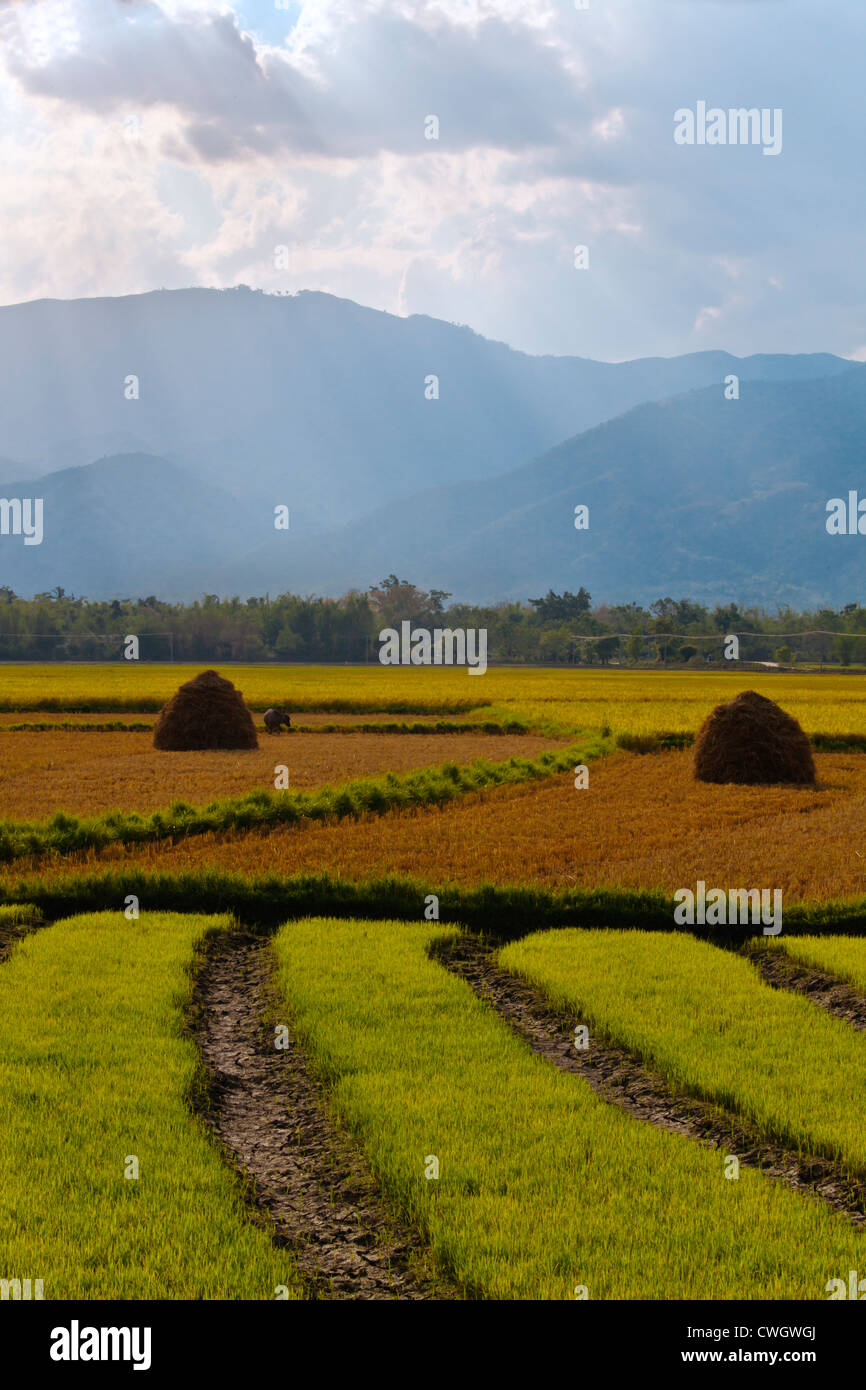 La fertile valle di Kengtung circostanti o KYAINGTONG è usato per coltivare riso - Myanmar Foto Stock