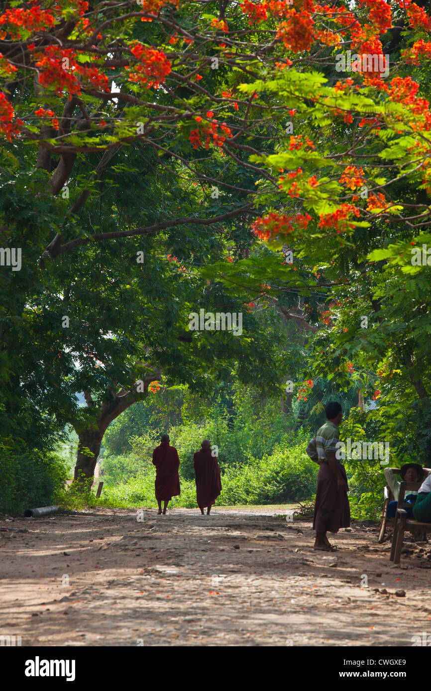 Monaci su strada nel centro storico di INWA che è servita come regni birmani capitol per 400 anni - Myanmar Foto Stock