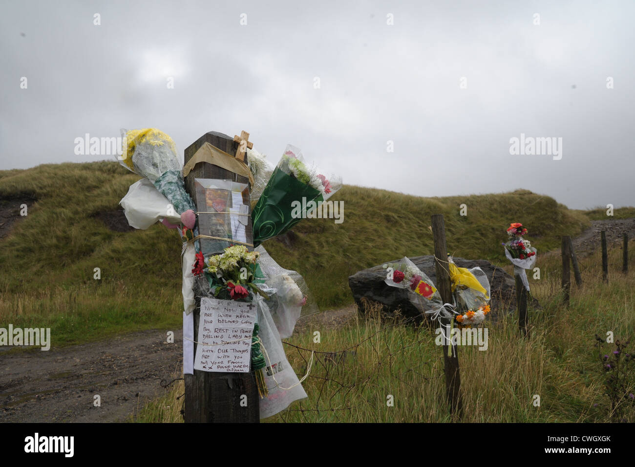 Fiori legati a un recinto sul Saddleworth Moor in omaggio a Winnie Johnson e mori omicidio vittima figlio Keith Bennett Foto Stock