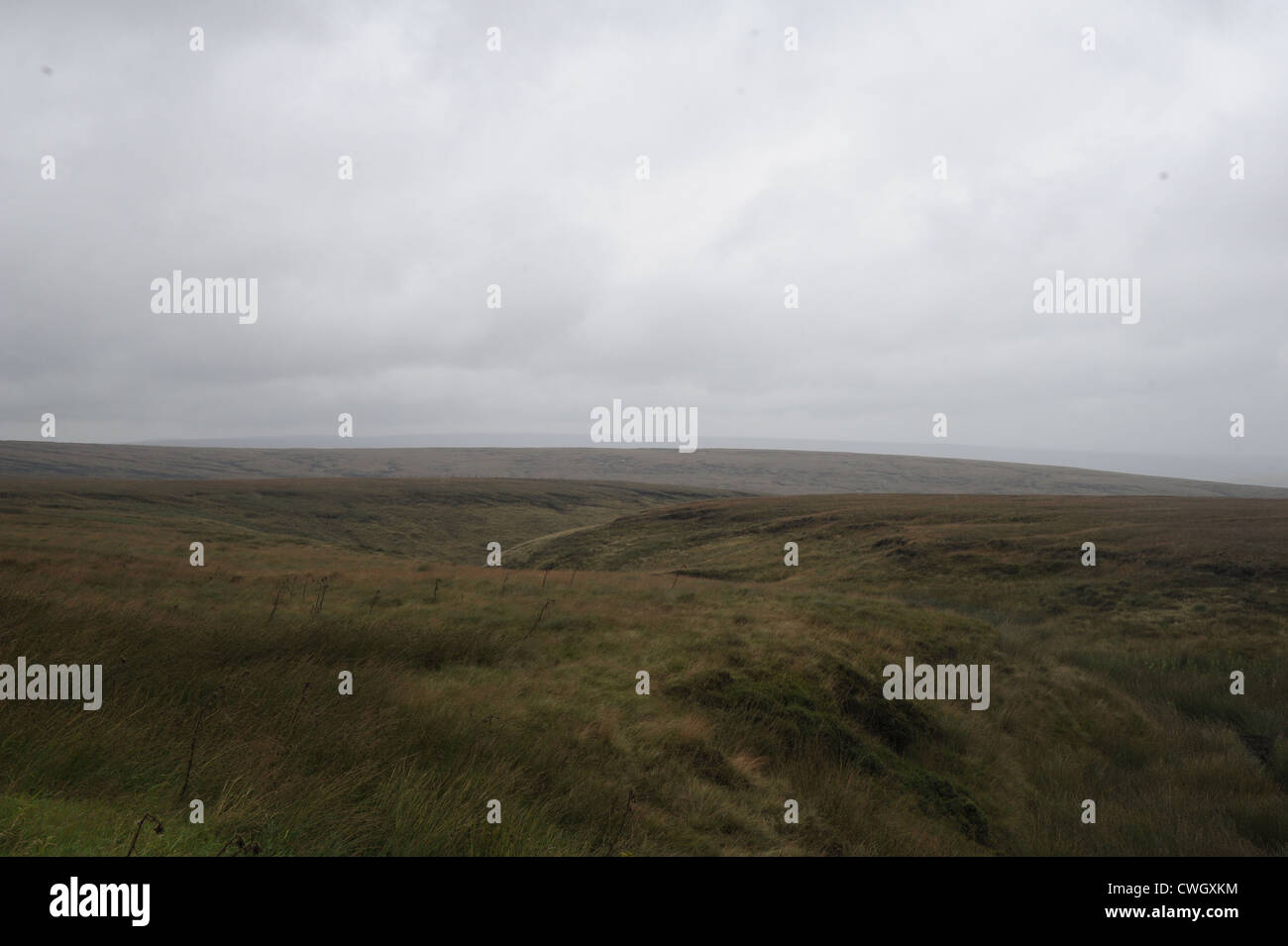 Fiori legati a un recinto sul Saddleworth Moor in omaggio a Winnie Johnson e mori omicidio vittima figlio Keith Bennett Foto Stock