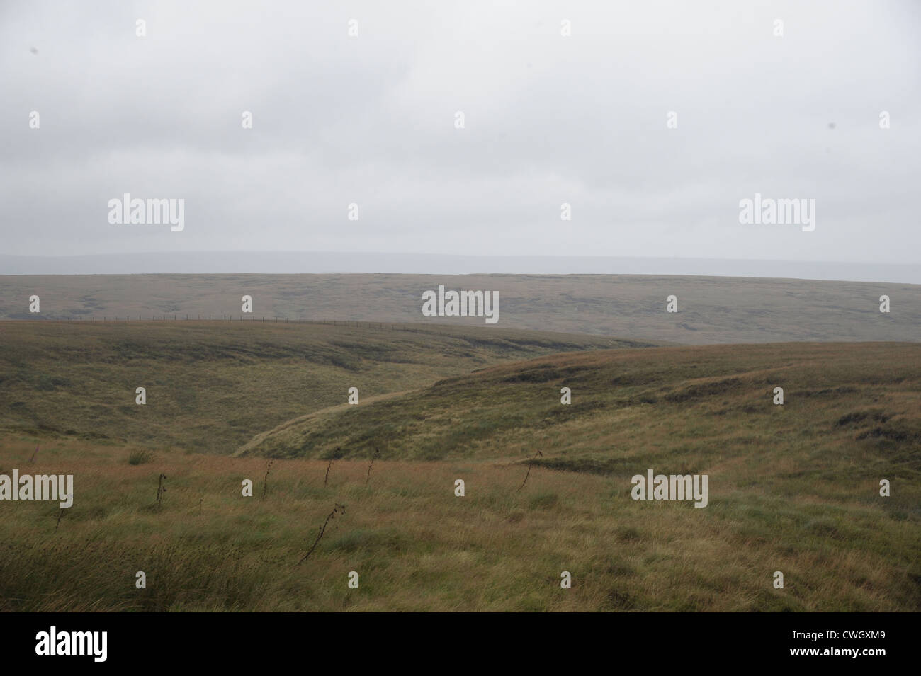 Fiori legati a un recinto sul Saddleworth Moor in omaggio a Winnie Johnson e mori omicidio vittima figlio Keith Bennett Foto Stock