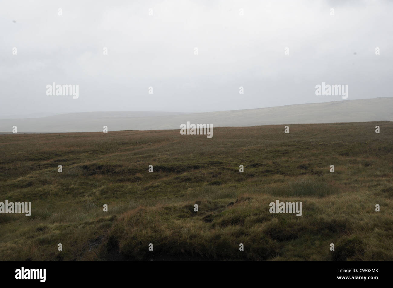 Fiori legati a un recinto sul Saddleworth Moor in omaggio a Winnie Johnson e mori omicidio vittima figlio Keith Bennett Foto Stock