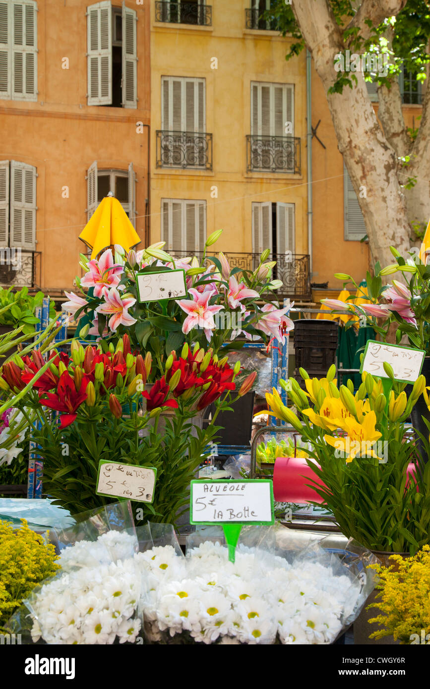 Fiori in vendita il giorno di mercato in Aix-en-Provence, Francia Foto Stock