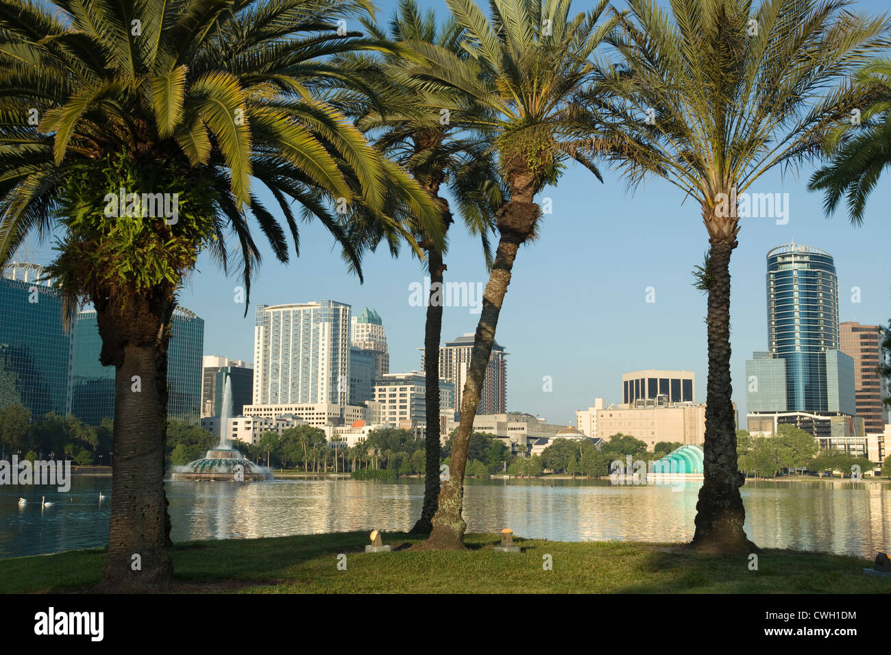 Palme skyline del centro Lake Eola Park Orlando Florida USA Foto Stock