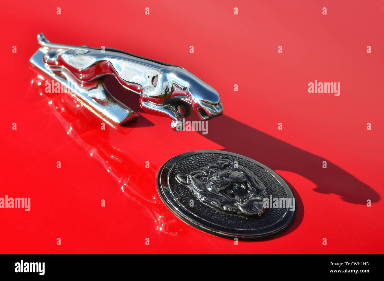 Close up della Jaguar cars emblema di cofano e badge su un luminoso auto rossa Foto Stock