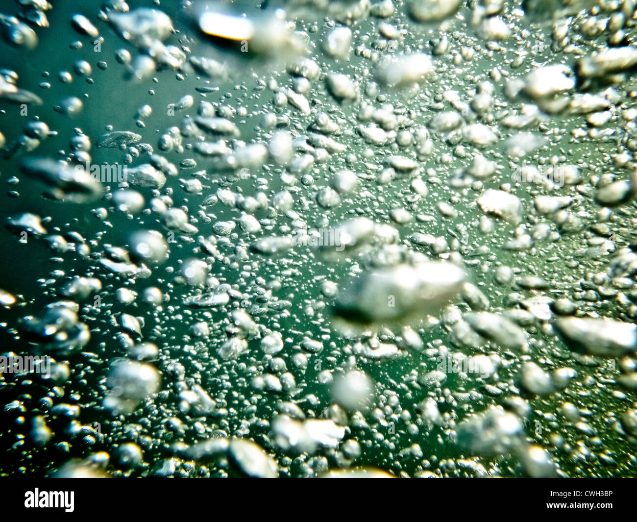 Gli sfondi sfocati,,sott'acqua,bolle Foto Stock