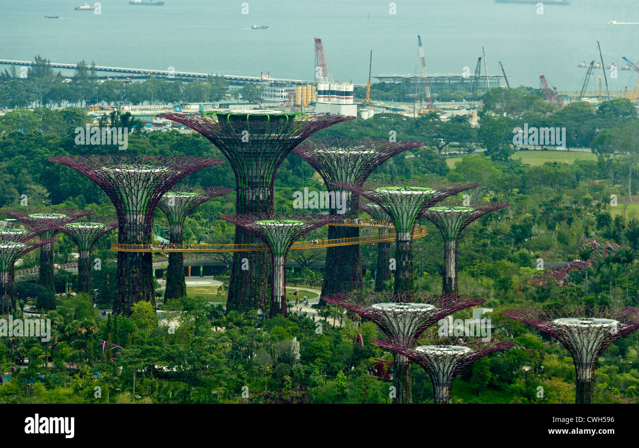 Supertrees presso i giardini dalla Baia di Singapore. I Giardini di Baia è un nuovo giardino costruito accanto alla Marina Bay Sands Resort. Foto Stock