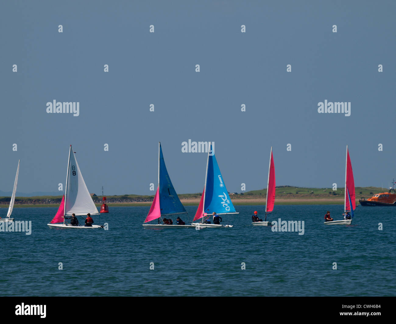 Gommoni di laser barca a vela attorno a Bay Instow, Devon, Regno Unito Foto Stock