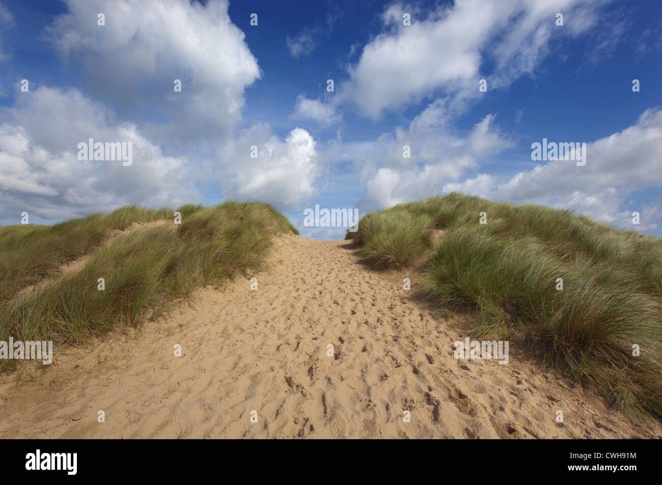 Percorso che passa attraverso le dune costiere a Burnham Overy North Norfolk Foto Stock