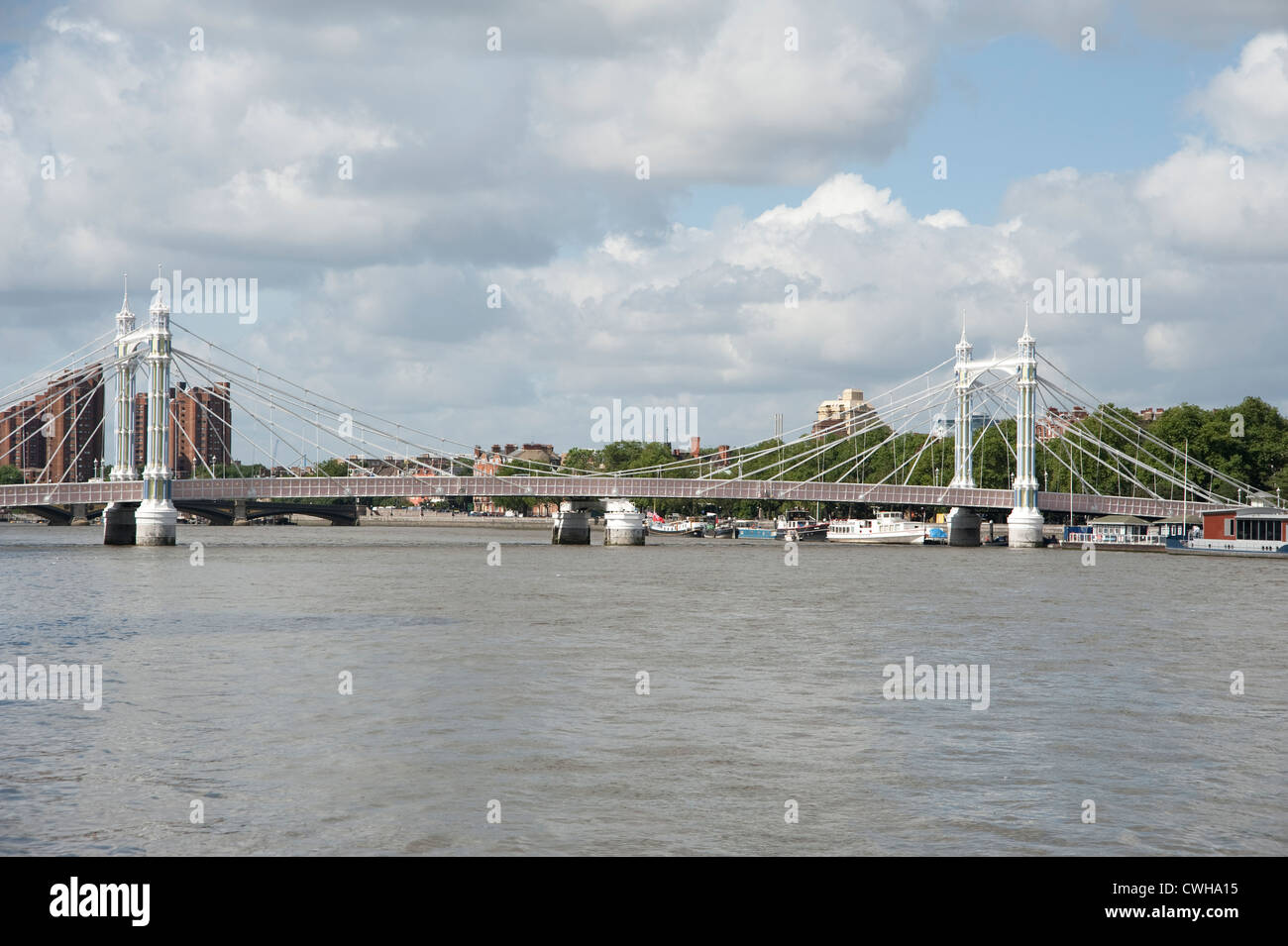 Vista del Albert Ponte del Tamigi a Londra Foto Stock