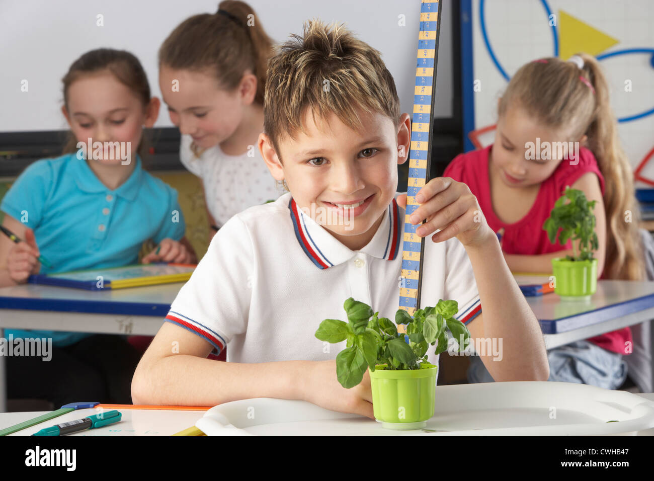 Ragazzo imparare a conoscere le piante nella classe della scuola Foto Stock