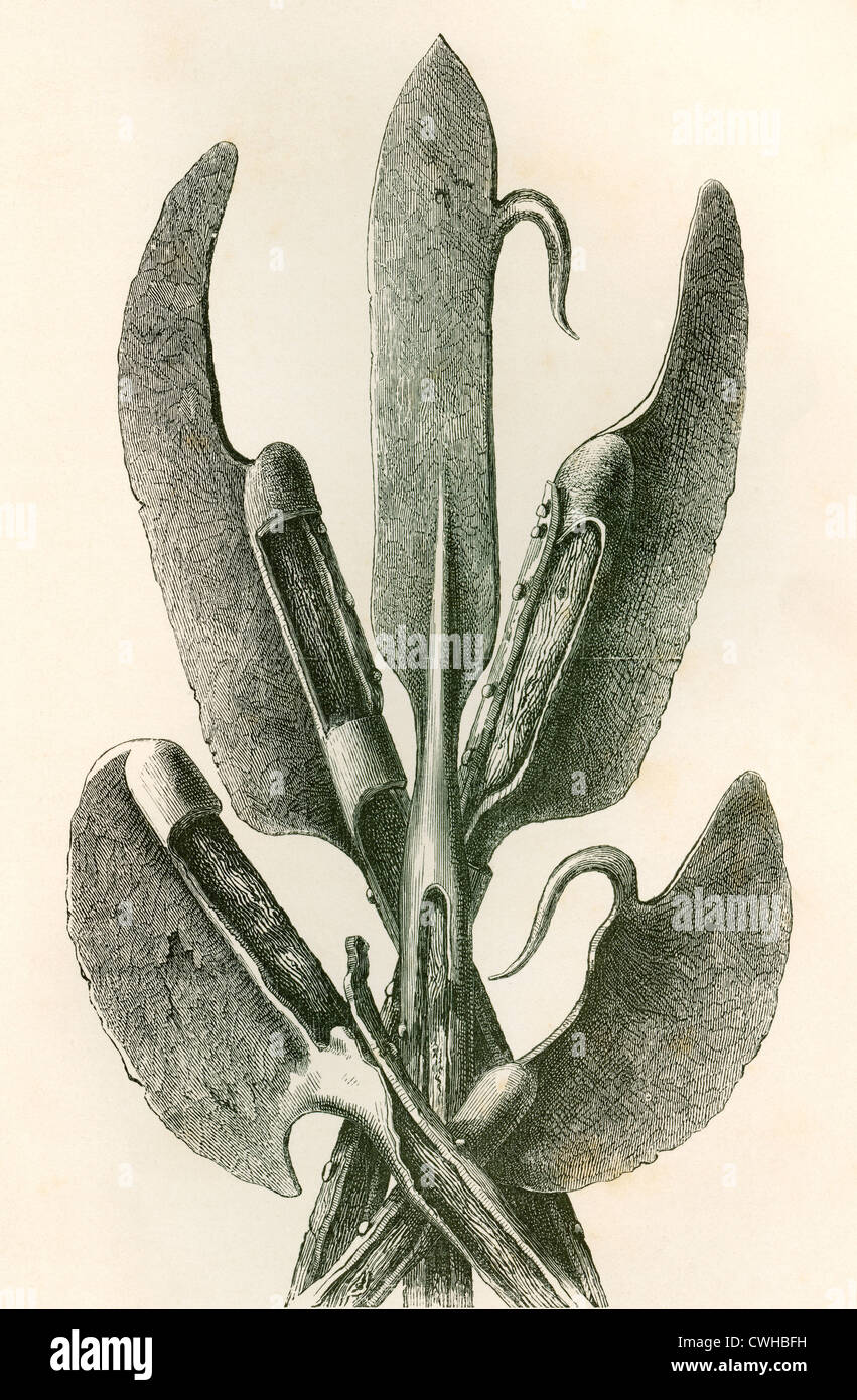Vari tipi di assi del lochaber. From the British Army: ITS Origins, Progress and Equipment, pubblicato nel 1868. Foto Stock