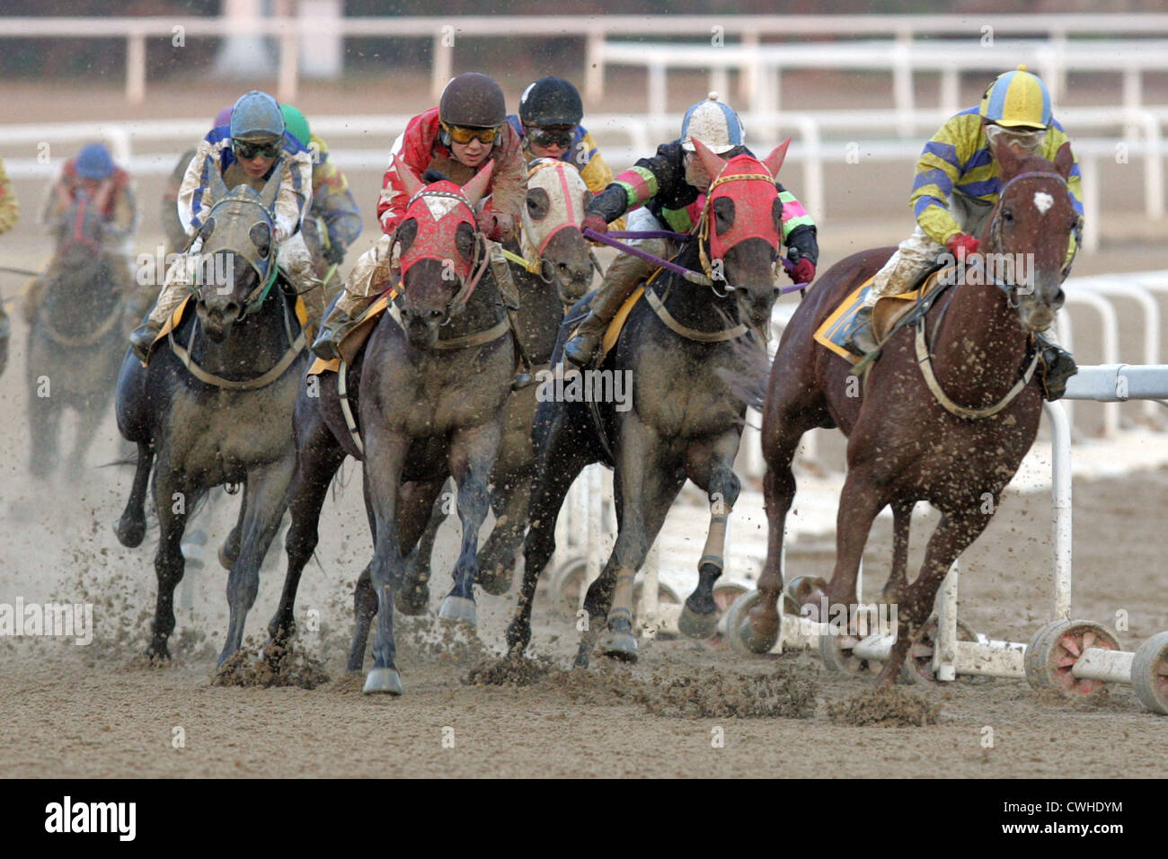 Seoul, cavalieri e cavalli sul lato sporco della pista in azione Foto Stock