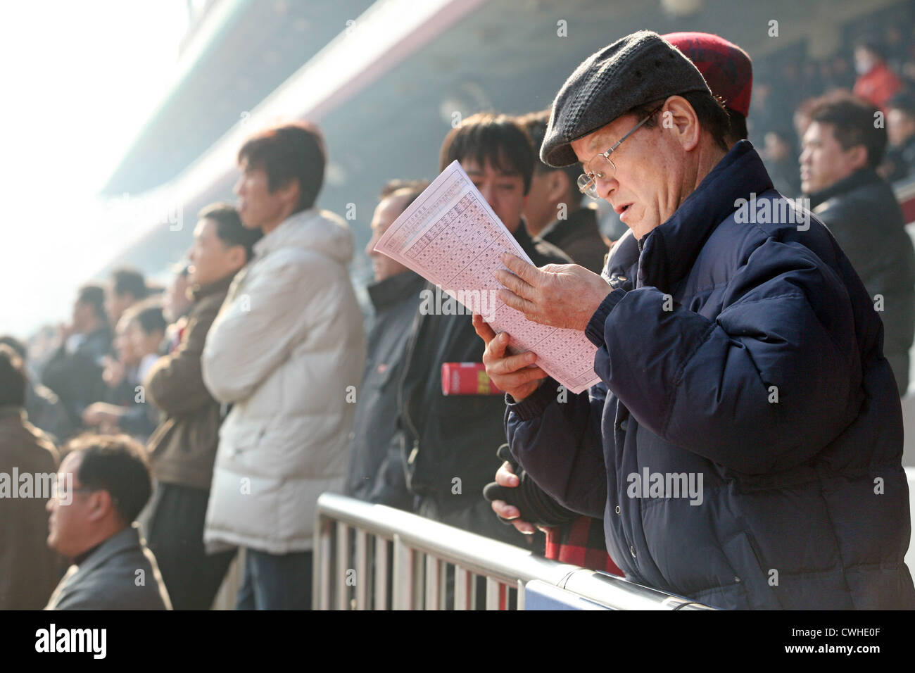 Seoul Racecourse visitatore legge il programma racing Foto Stock